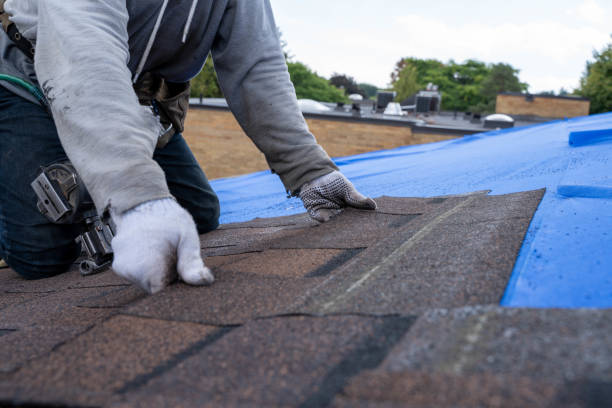 Best Roof Gutter Cleaning  in Missouri City, TX